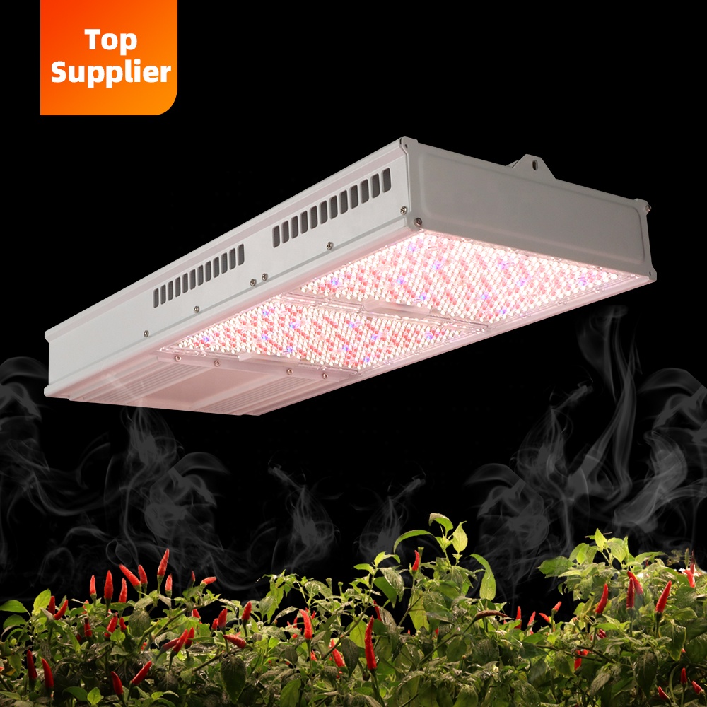 Led Grow Light - Kostengünstige 600W 800W Toplight Vollspektrum LED-Pflanzenlampe
