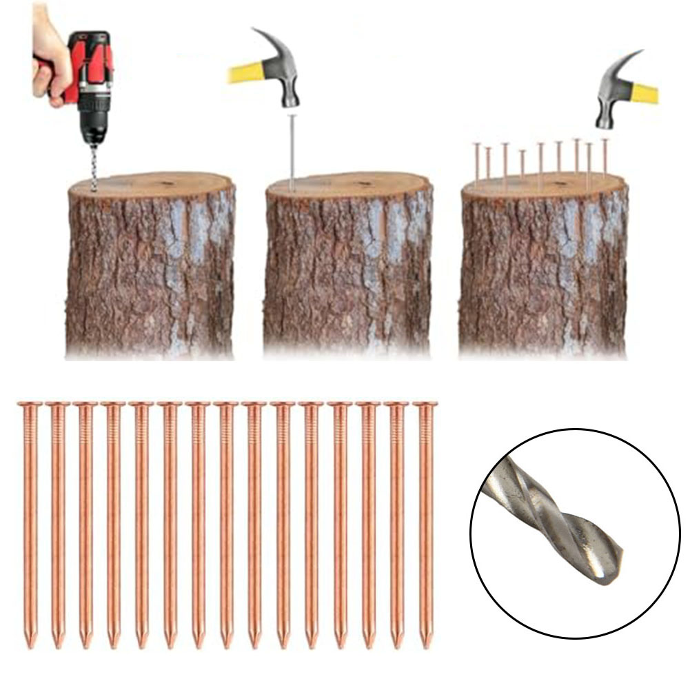 Gardening Tools Target - 2-Zoll-Nägel aus massivem Kupfer für Baumstümpfe