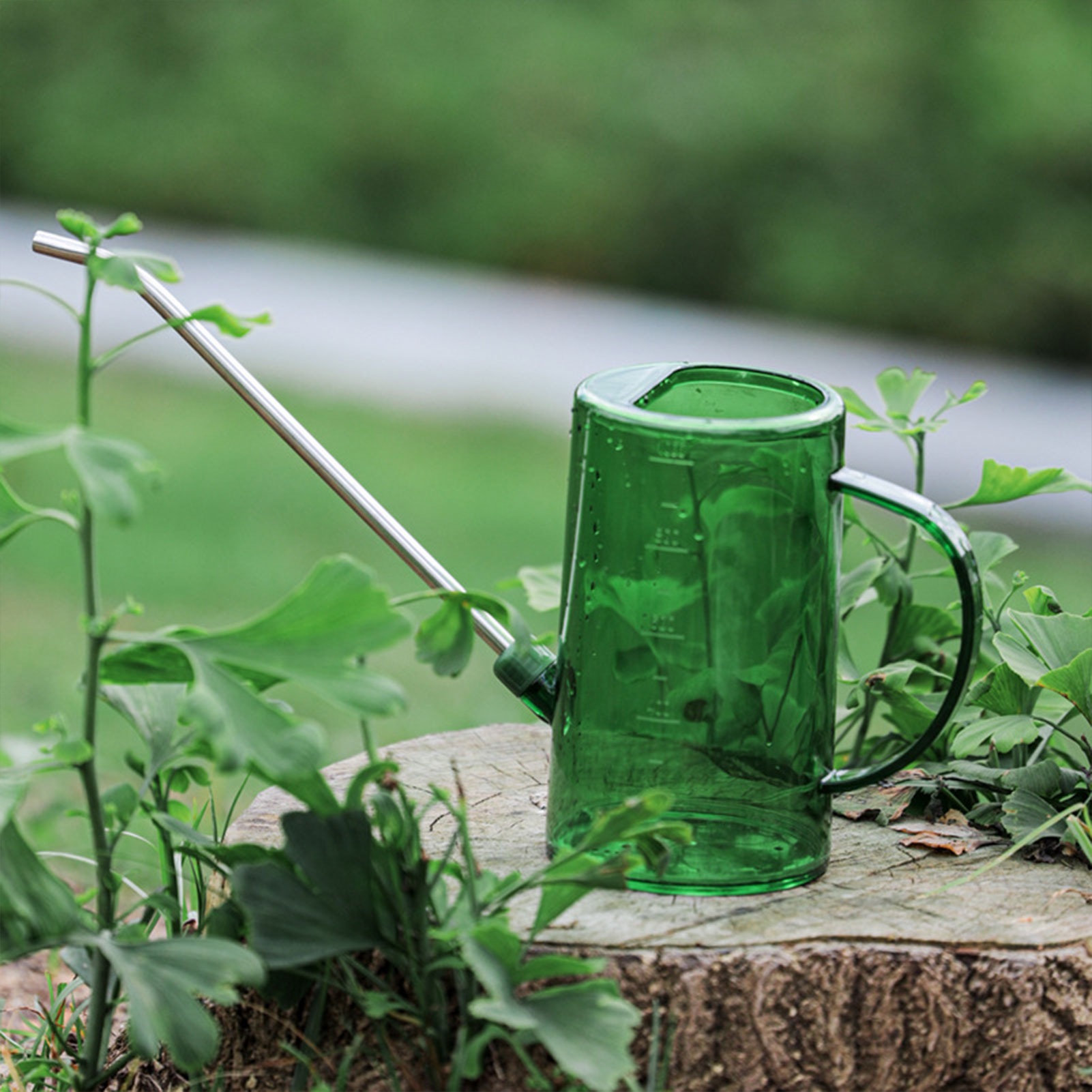 Gardening Tools Watering Can - 1L/1,5L Gießkanne für Zimmerpflanzen, transparent, abnehmbarer