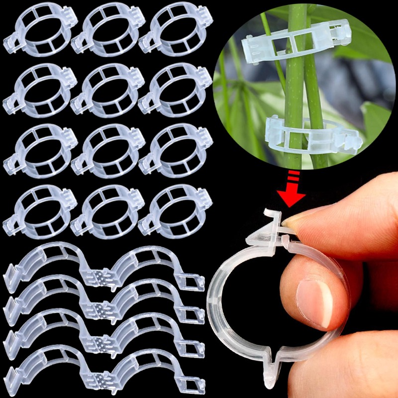 Gardening Tools Holder - 300/50 Stück Pflanzenstützclips Wiederverwendbare Kunststoff-Verbindungsclips für