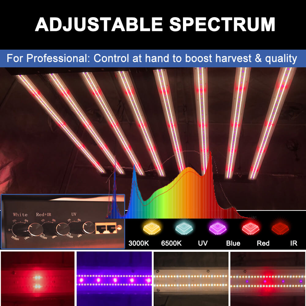 US-Lagerbestand PPFD 2800 Umol – Led Grow Light Bewertung und Preis