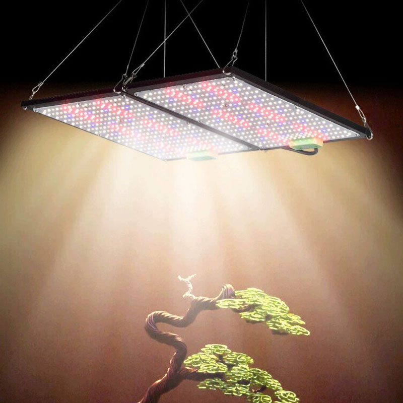LED-Quantum-Board-Pflanzenlamp – Led Grow Light Bewertung und Preis