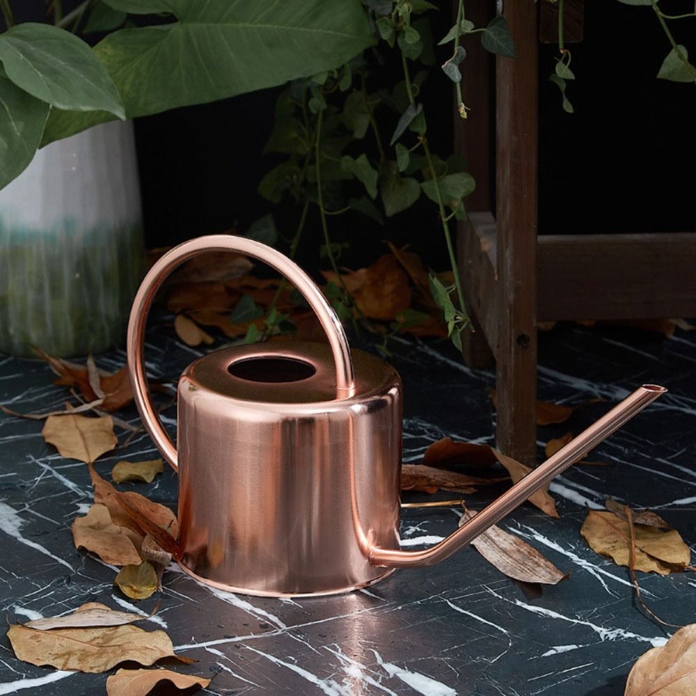 1,3L Pflanzengießkanne aus Ede – Gardening Tools Watering Can Bewertung und Preis