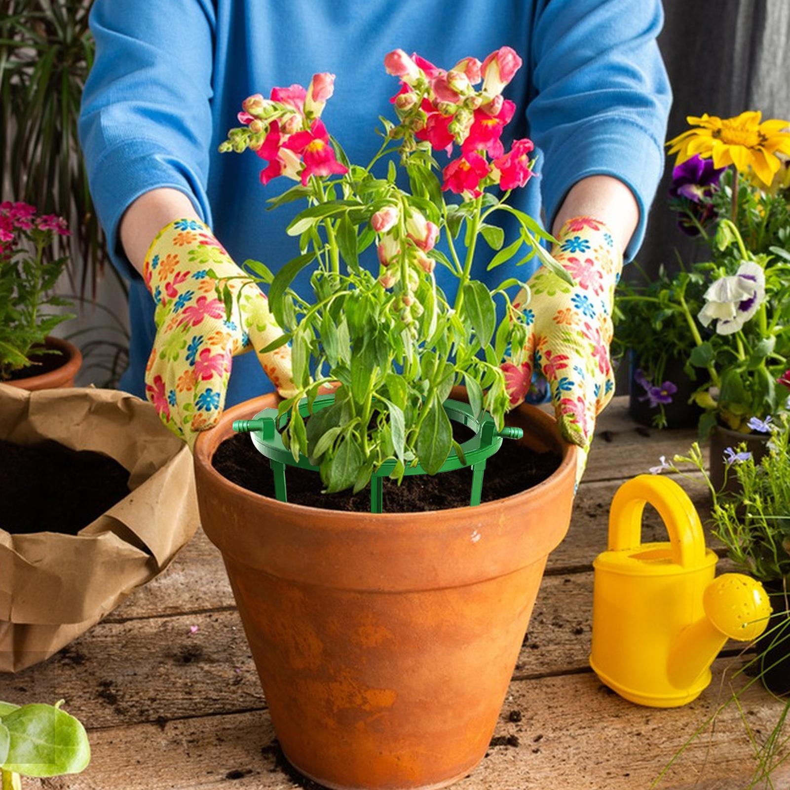 Pflanzenwasserring, Hydro-Ring – Gardening Tools Target Bewertung und Preis
