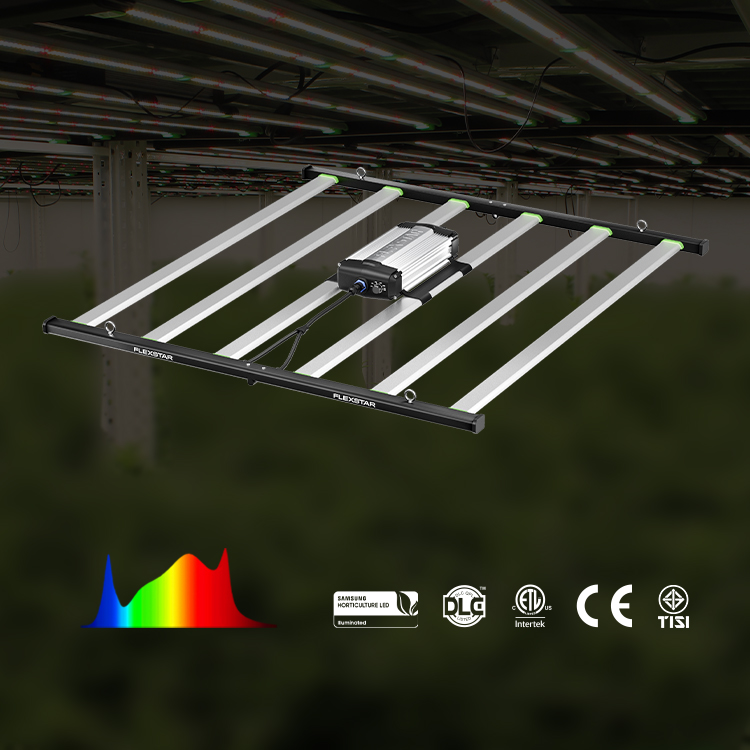 Erträge bis zu 3,75 Pfund US S – Led Grow Light Bewertung und Preis