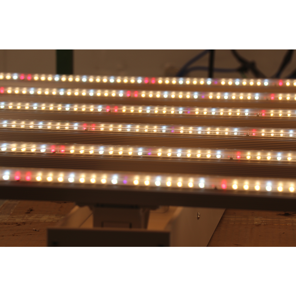 2023 Dropshipping Direktvertri – Led Grow Light Bewertung und Preis
