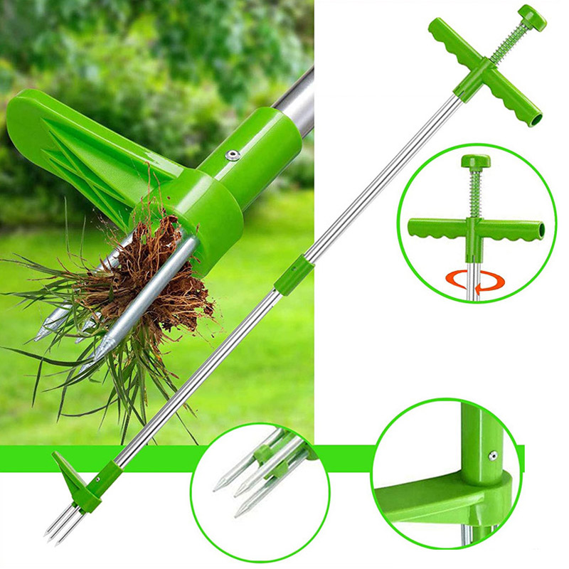 Tragbarer Unkrautentferner mit – Grass Seed Spreader Bewertung und Preis