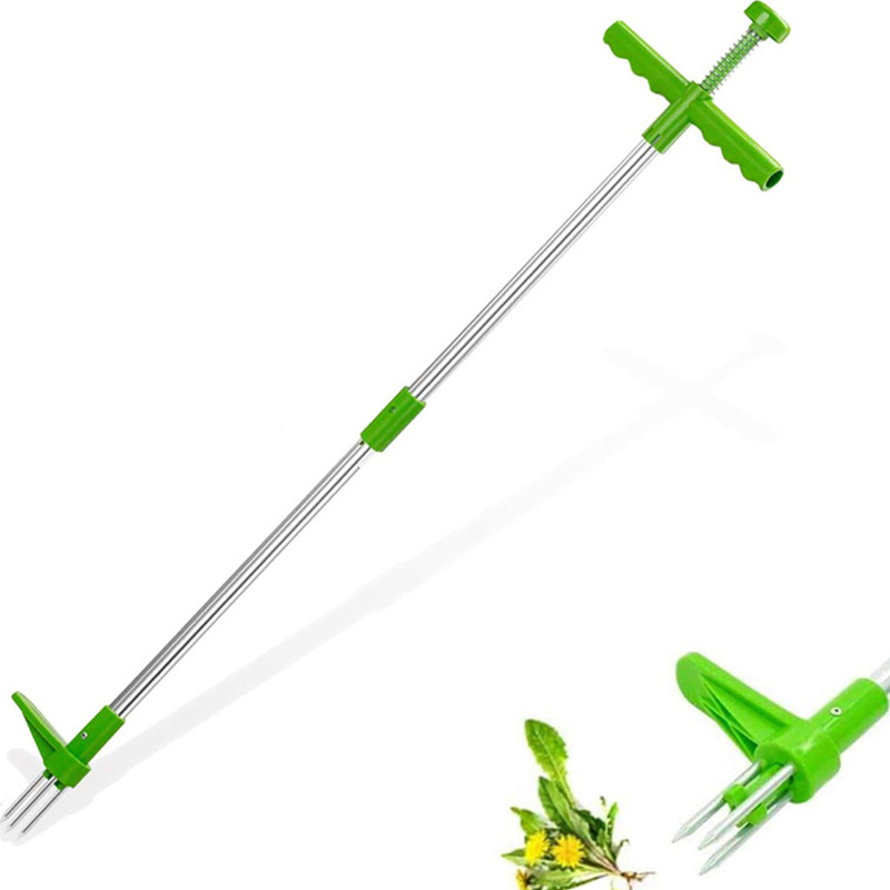 Tragbarer Unkrautentferner mit – Grass Seed Spreader Bewertung und Preis