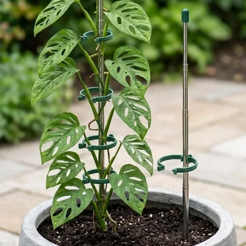 5/1 Stück Einziehbarer Pflanze – Gardening Tools Holder Bewertung und Preis