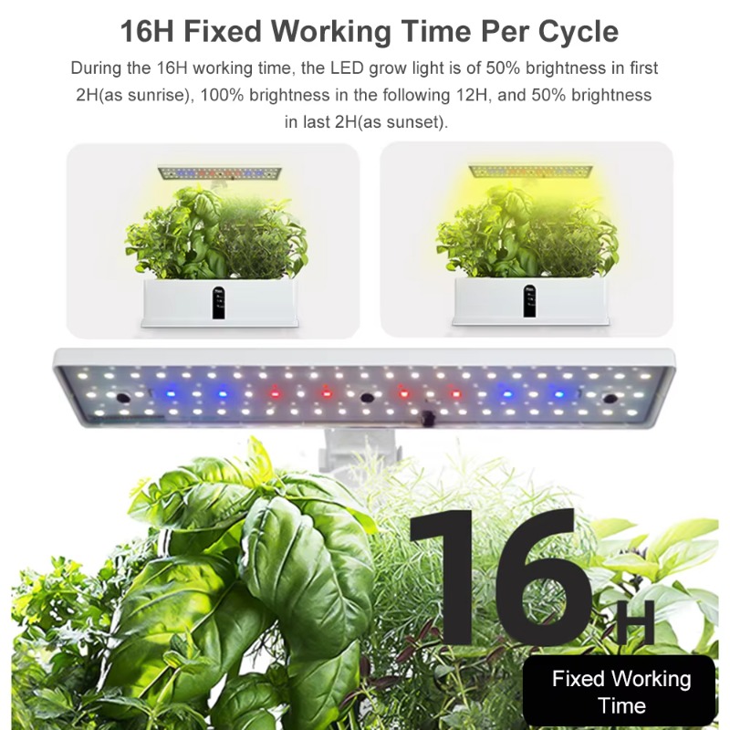 9-Pods Smart Hydroponisches An – Led Grow Light Bewertung und Preis
