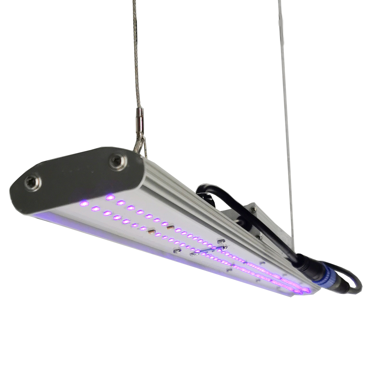 DANSE LED Manueller Dimmer LED – Led Grow Light Bewertung und Preis