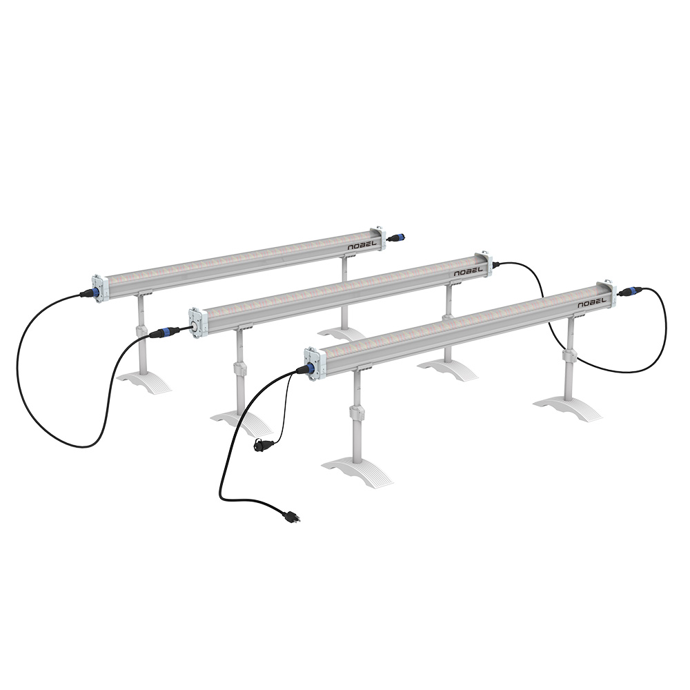 Meistverkaufte IP66 Wasserdich – Led Grow Light Bewertung und Preis