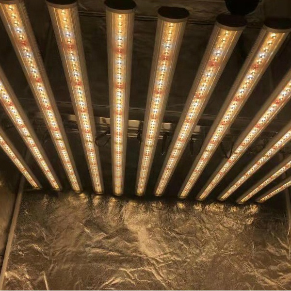 LUX China Fabrik LED Pflanzenb – Led Grow Light Bewertung und Preis