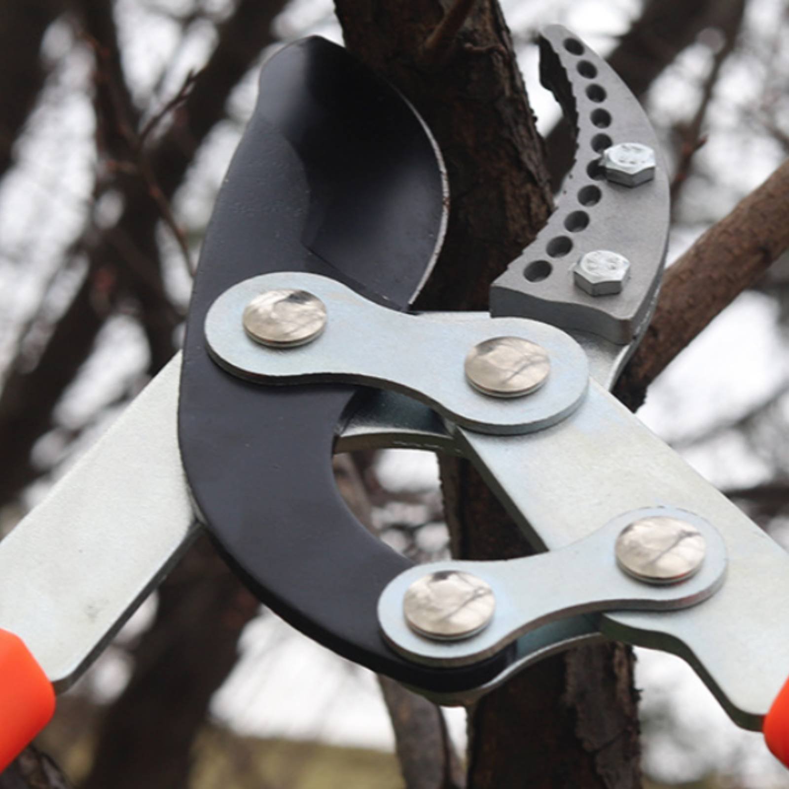 Teleskopische Astschere mit Sc – Gardening Tools In Bewertung und Preis