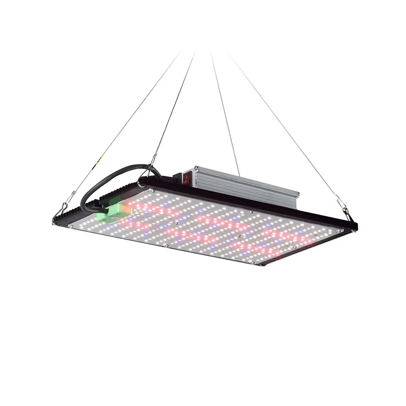 LED-Quantum-Board-Pflanzenlamp – Led Grow Light Bewertung und Preis