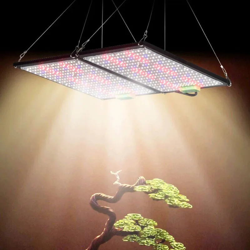 LED-Quantum-Board-Pflanzenlamp – Led Grow Light Bewertung und Preis