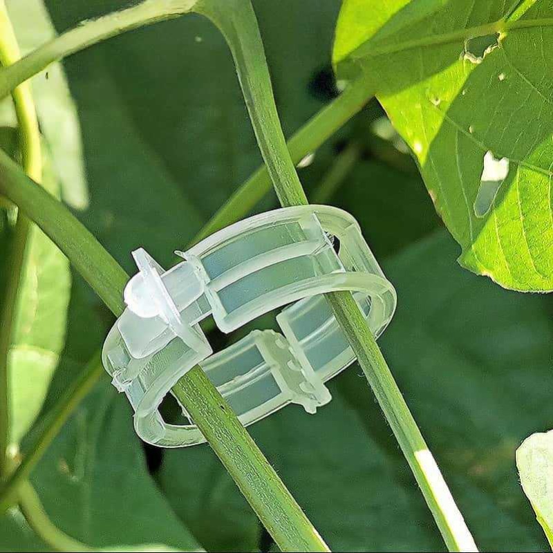 300/50 Stück Pflanzenstützclip – Gardening Tools Holder Bewertung und Preis
