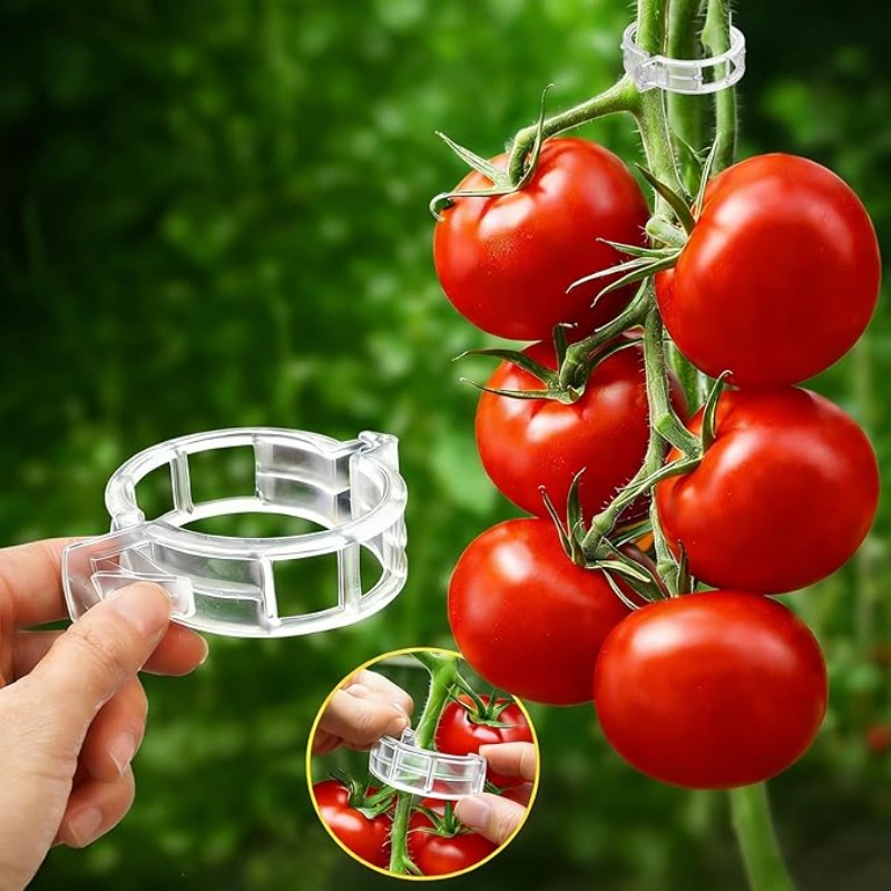 300/50 Stück Pflanzenstützclip – Gardening Tools Holder Bewertung und Preis